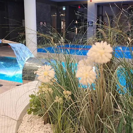 Polanki Aqua Z Garazem, Basen, Strefa